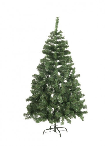 Kerstboom Zilverspar 120 cm