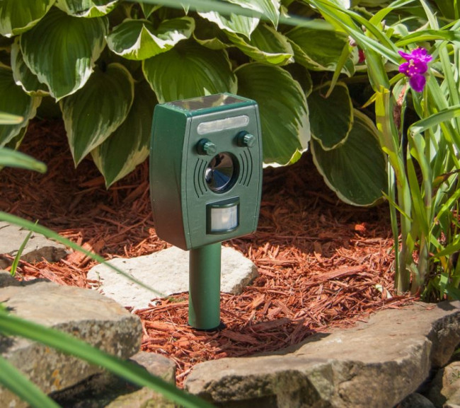 Zonar Animal Repeller nu verkrijgbaar bij Bekendvanpc.nl