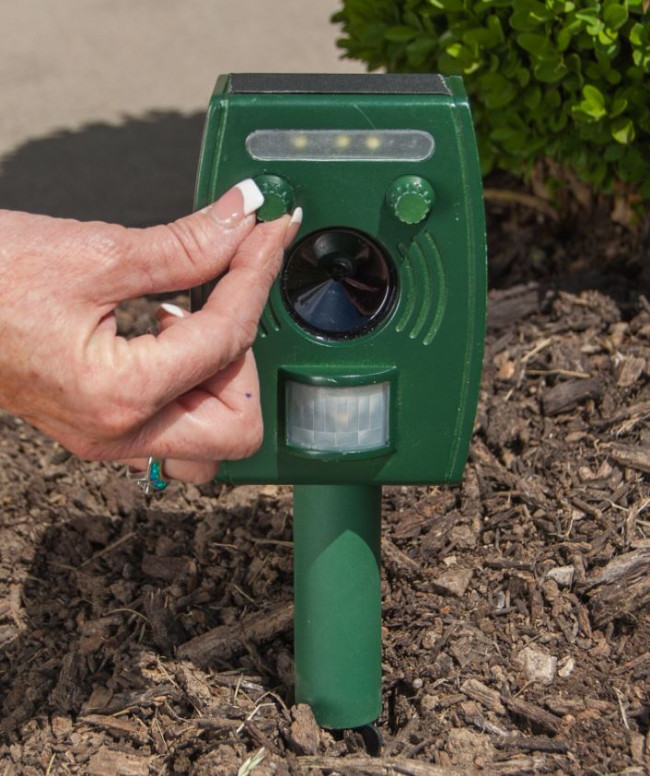 Zonar Animal Repeller nu verkrijgbaar bij Bekendvanpc.nl