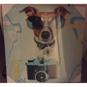 Schilderij: Photographer dog 40 x 40 cm