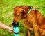 Aqua Dog drinkbeker voor hond