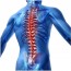 Bio Feedbac Back Support Belt