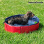 Innovagoods zwembad voor kleine honden