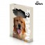 My Pet Ez Haarborstelhandschoen Doos