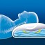 Lanaform Aqua Pillow Waterkussen